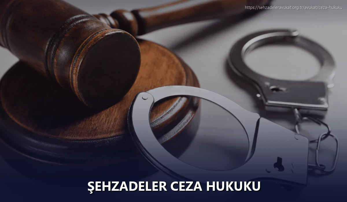 Şehzadeler Ceza Hukuku
