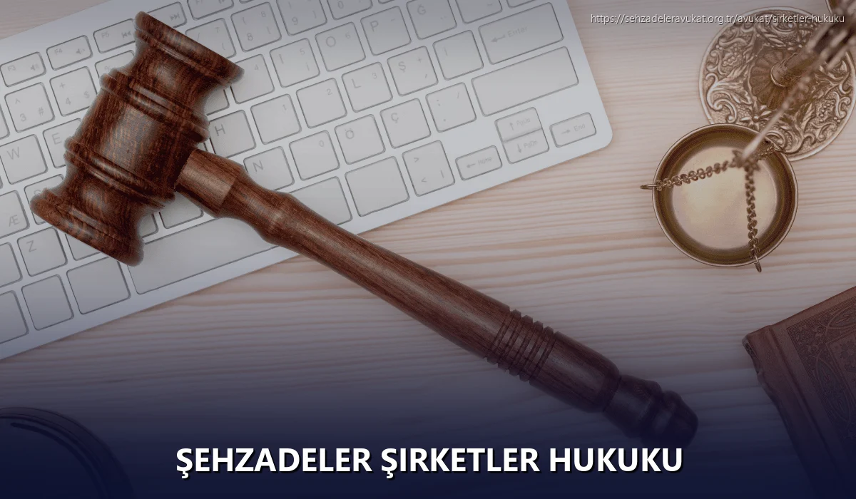 Şehzadeler Şirketler Hukuku